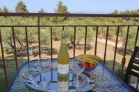 /album/%ce%ad%ce%ba%ce%b8%ce%b5%cf%83%ce%b7%20%cf%86%cf%89%cf%84%ce%bf%ce%b3%cf%81%ce%b1%cf%86%ce%b9%cf%8e%ce%bd/aprt3-08-jpg1/