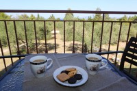 /album/%ce%ad%ce%ba%ce%b8%ce%b5%cf%83%ce%b7%20%cf%86%cf%89%cf%84%ce%bf%ce%b3%cf%81%ce%b1%cf%86%ce%b9%cf%8e%ce%bd/apart2-14-jpg1/