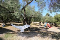 /album/%ce%ad%ce%ba%ce%b8%ce%b5%cf%83%ce%b7%20%cf%86%cf%89%cf%84%ce%bf%ce%b3%cf%81%ce%b1%cf%86%ce%b9%cf%8e%ce%bd/gar-09-jpg1/