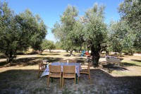 /album/%ce%ad%ce%ba%ce%b8%ce%b5%cf%83%ce%b7%20%cf%86%cf%89%cf%84%ce%bf%ce%b3%cf%81%ce%b1%cf%86%ce%b9%cf%8e%ce%bd/gar-10-jpg2/