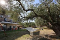 /album/%ce%ad%ce%ba%ce%b8%ce%b5%cf%83%ce%b7%20%cf%86%cf%89%cf%84%ce%bf%ce%b3%cf%81%ce%b1%cf%86%ce%b9%cf%8e%ce%bd/gar-15-jpg1/